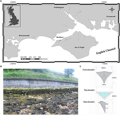 Shelving the Coast With Vertipools: Retrofitting Artificial Rock Pools on Coastal Structures as Mitigation for Coastal Squeeze